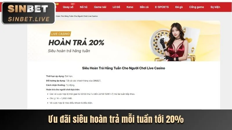 Hoàn trả hàng tuần cho cá cược thể thao tại nuw88 nhà cái